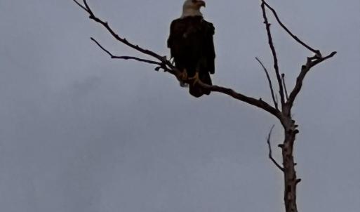 Photo #13 of Bayview Drive, Stumpy Point, NC 0.3 acres