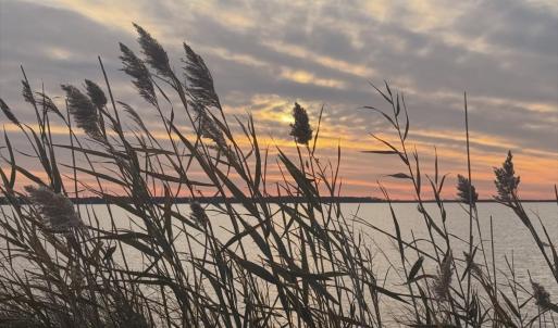 Photo #16 of Bayview Drive, Stumpy Point, NC 0.3 acres