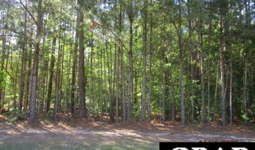 Photo #4 of 47 Boshers Point Drive, Hertford, NC 0.5 acres