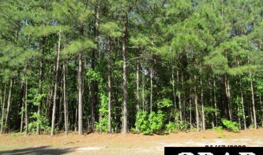 Photo #1 of 47 Boshers Point Drive, Hertford, NC 0.5 acres