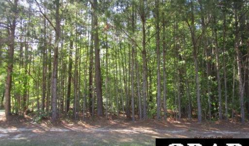 Photo #5 of 47 Boshers Point Drive, Hertford, NC 0.5 acres