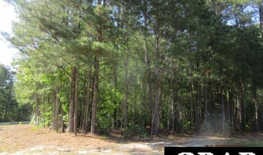 Photo #3 of 47 Boshers Point Drive, Hertford, NC 0.5 acres