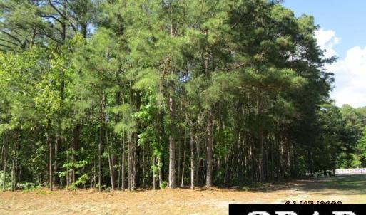 Photo #2 of 47 Boshers Point Drive, Hertford, NC 0.5 acres