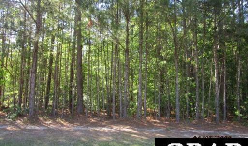 Photo #4 of 47 Boshers Point Drive, Hertford, NC 0.5 acres