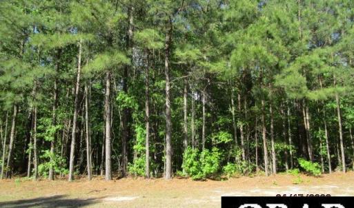 Photo #1 of 47 Boshers Point Drive, Hertford, NC 0.5 acres