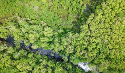 Photo #14 of Lot 7 Gregory Road, Shawboro, NC 10.0 acres