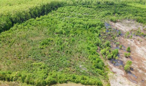 Photo #4 of Lot 7 Gregory Road, Shawboro, NC 10.0 acres