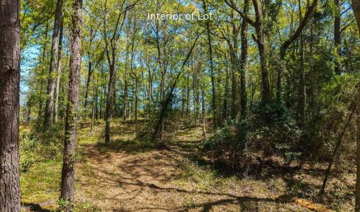 Photo #13 of 3021 Creek Road, Kitty Hawk, NC 0.6 acres