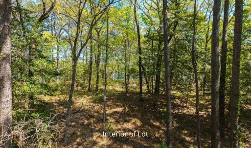 Photo #4 of 3021 Creek Road, Kitty Hawk, NC 0.6 acres