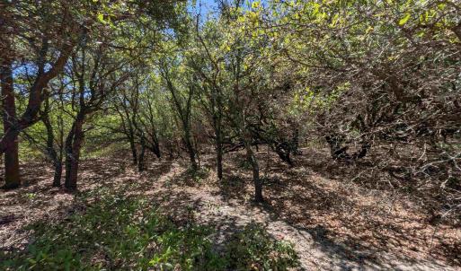 Photo #8 of 2256 Sandpiper Road, Corolla, NC 0.3 acres