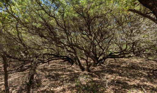 Photo #9 of 2256 Sandpiper Road, Corolla, NC 0.3 acres