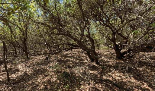 Photo #10 of 2256 Sandpiper Road, Corolla, NC 0.3 acres