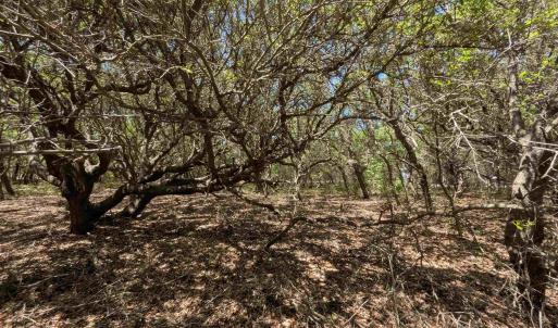 Photo #11 of 2256 Sandpiper Road, Corolla, NC 0.3 acres