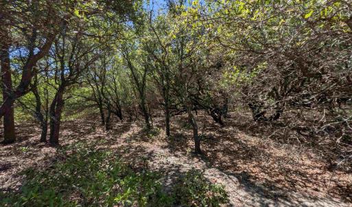 Photo #8 of 2256 Sandpiper Road, Corolla, NC 0.3 acres