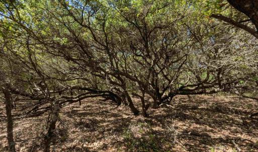 Photo #9 of 2256 Sandpiper Road, Corolla, NC 0.3 acres