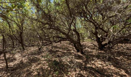 Photo #10 of 2256 Sandpiper Road, Corolla, NC 0.3 acres