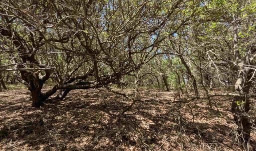 Photo #11 of 2256 Sandpiper Road, Corolla, NC 0.3 acres