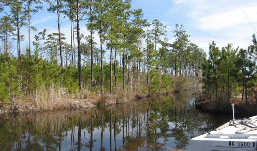 Photo #5 of 4161 Caratoke Highway, Barco, NC 92.4 acres
