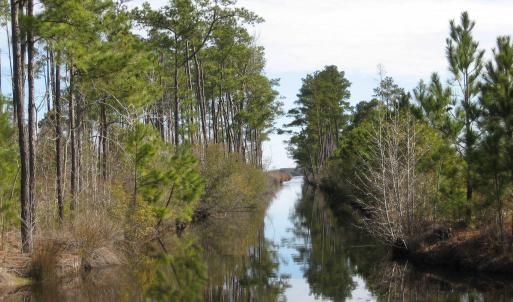 Photo #6 of 4161 Caratoke Highway, Barco, NC 92.4 acres