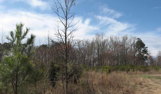 Photo #1 of 4161 Caratoke Highway, Barco, NC 92.4 acres