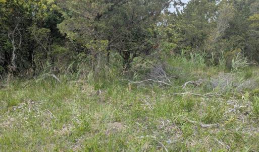 Photo #4 of TBD Lake Drive, Ocracoke, NC 0.6 acres
