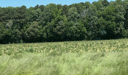 Photo #2 of TBD Highway 343, Camden, NC 10.0 acres