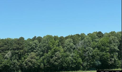 Photo #4 of TBD Highway 343, Camden, NC 10.0 acres
