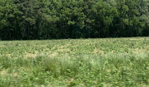 Photo #3 of TBD Highway 343, Camden, NC 10.0 acres