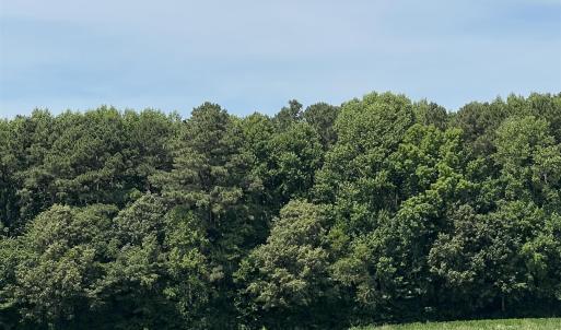 Photo #2 of TBD Highway 343, Camden, NC 10.0 acres