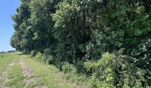 Photo #3 of TBD Highway 343, Camden, NC 10.0 acres