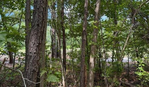Photo #25 of 107 Dexter Court, Powells Point, NC 0.5 acres