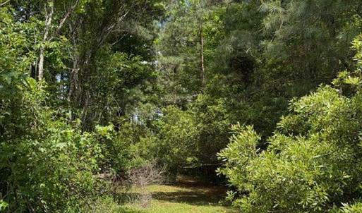 Photo #24 of 107 Dexter Court, Powells Point, NC 0.5 acres