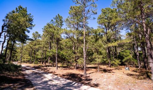Photo #8 of 2337 Swan Island Road, Corolla, NC