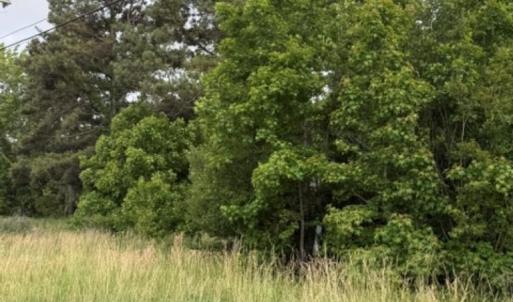 Photo #2 of 8028 Caratoke Highway, Powells Point, NC 9.9 acres