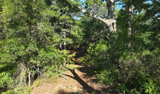 Photo #5 of 101 Tower Lane, Kill Devil Hills, NC 0.7 acres