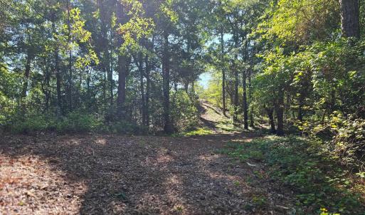 Photo #9 of 101 Tower Lane, Kill Devil Hills, NC 0.7 acres