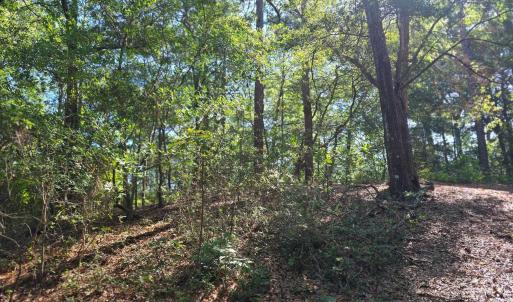 Photo #8 of 101 Tower Lane, Kill Devil Hills, NC 0.7 acres