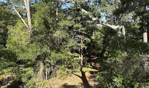 Photo #12 of 101 Tower Lane, Kill Devil Hills, NC 0.7 acres
