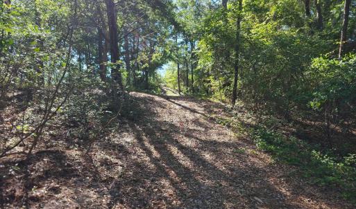 Photo #10 of 101 Tower Lane, Kill Devil Hills, NC 0.7 acres