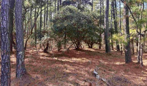 Photo #8 of 2322 Ocean Pearl Road, Corolla, NC 0.6 acres