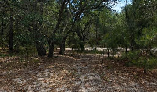 Photo #2 of 2006 Sea Horse Road, Corolla, NC 0.3 acres