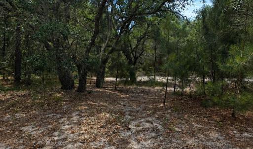Photo #2 of 2006 Sea Horse Road, Corolla, NC 0.3 acres