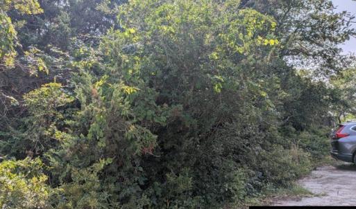 Photo #5 of TBD Creek Point Road, Ocracoke, NC 0.1 acres