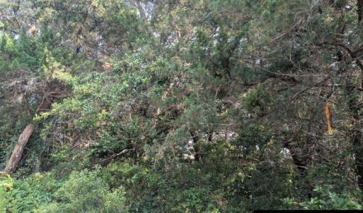 Photo #4 of TBD Creek Point Road, Ocracoke, NC 0.1 acres