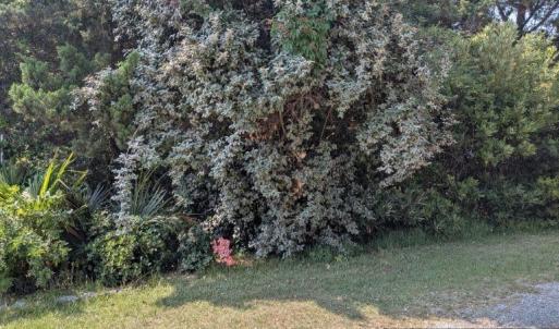 Photo #6 of TBD Creek Point Road, Ocracoke, NC 0.1 acres