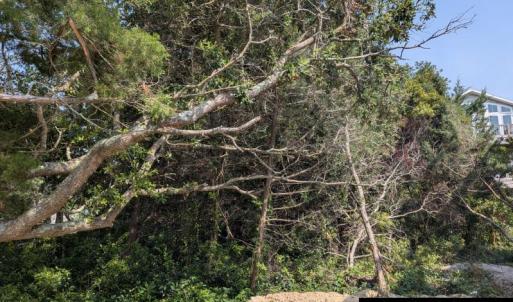 Photo #3 of TBD Creek Point Road, Ocracoke, NC 0.1 acres