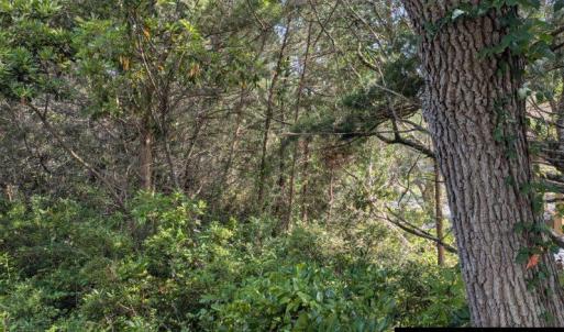 Photo #2 of TBD Creek Point Road, Ocracoke, NC 0.1 acres