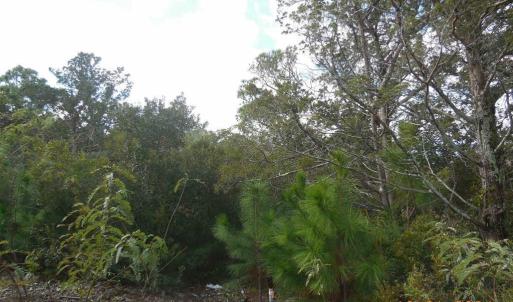 Photo #24 of TBD Sarah Ellen Drive, Ocracoke, NC 0.3 acres