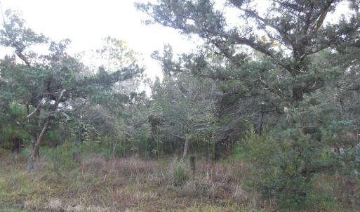 Photo #19 of TBD Sarah Ellen Drive, Ocracoke, NC 0.3 acres