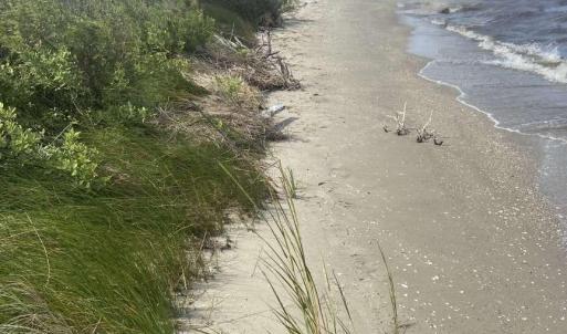 Photo #5 of 12 Carolina Cays, Wanchese, NC 9.9 acres